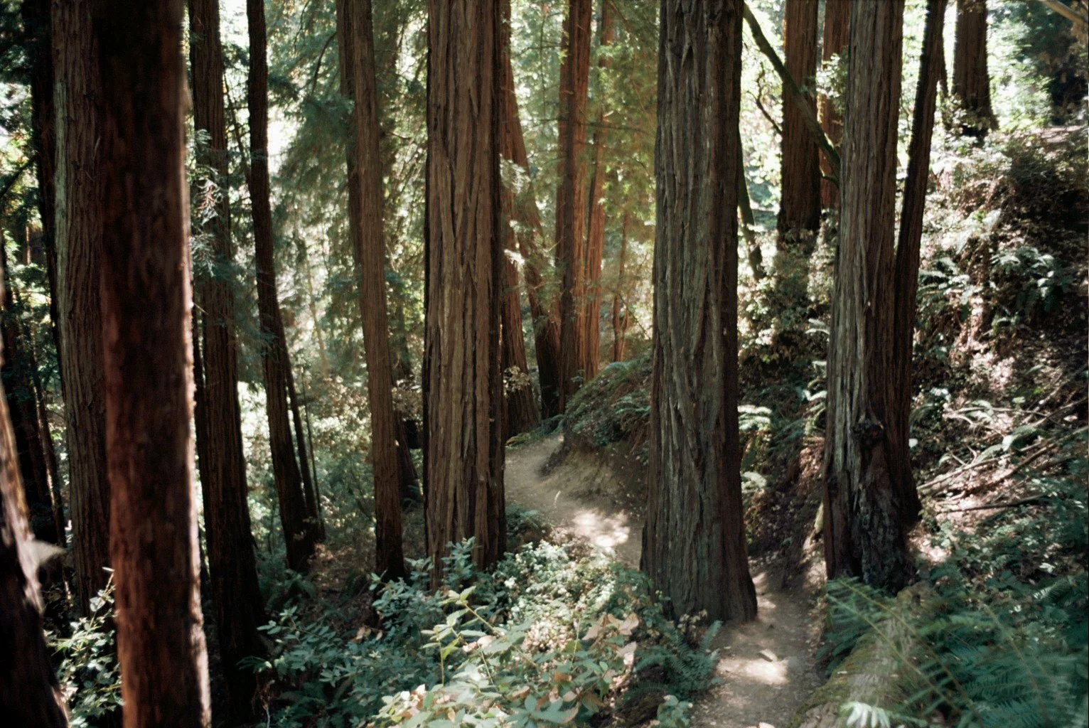 Copy of _21_0121.jpg