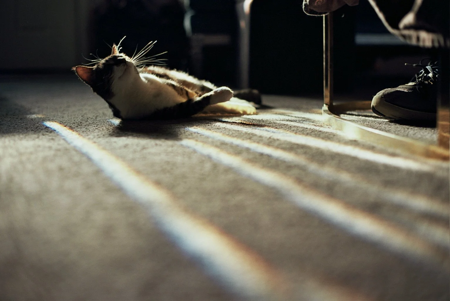 Copy of _30_0258.jpg