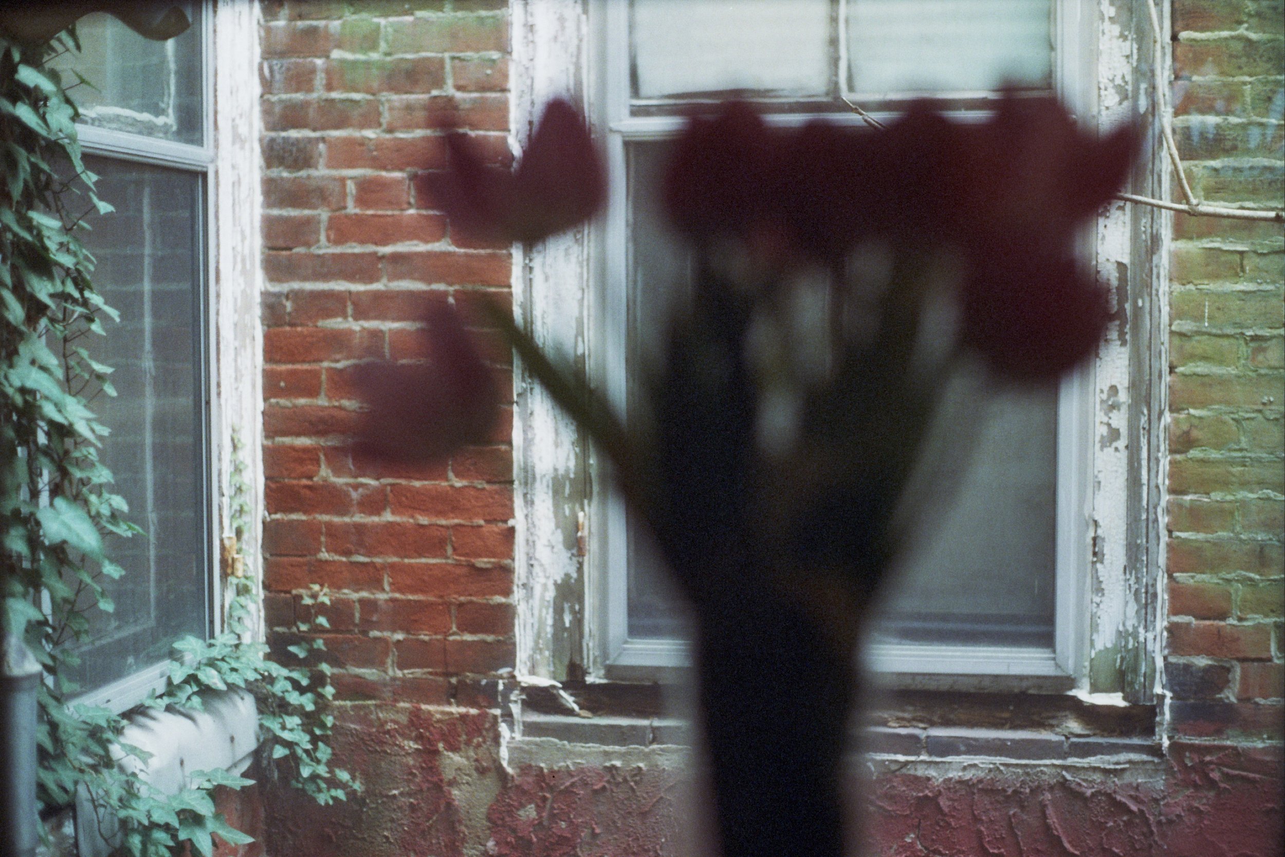 Copy of ---_0078.jpg