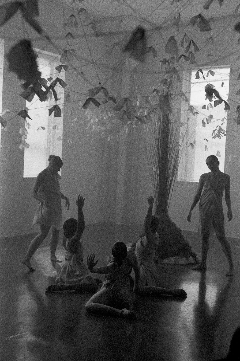 Copy of ---_0082.jpg