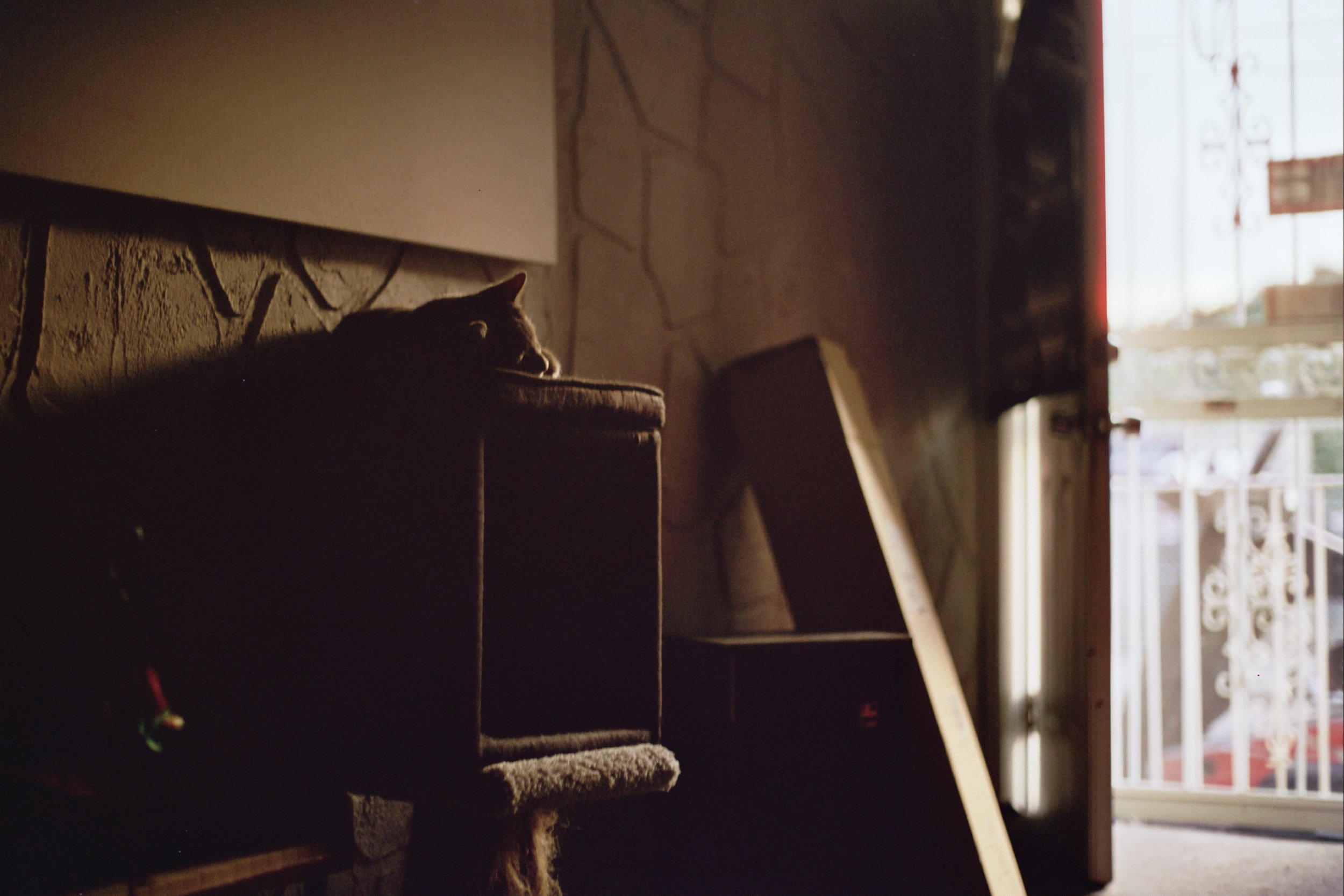 Copy of ---_1295.jpg