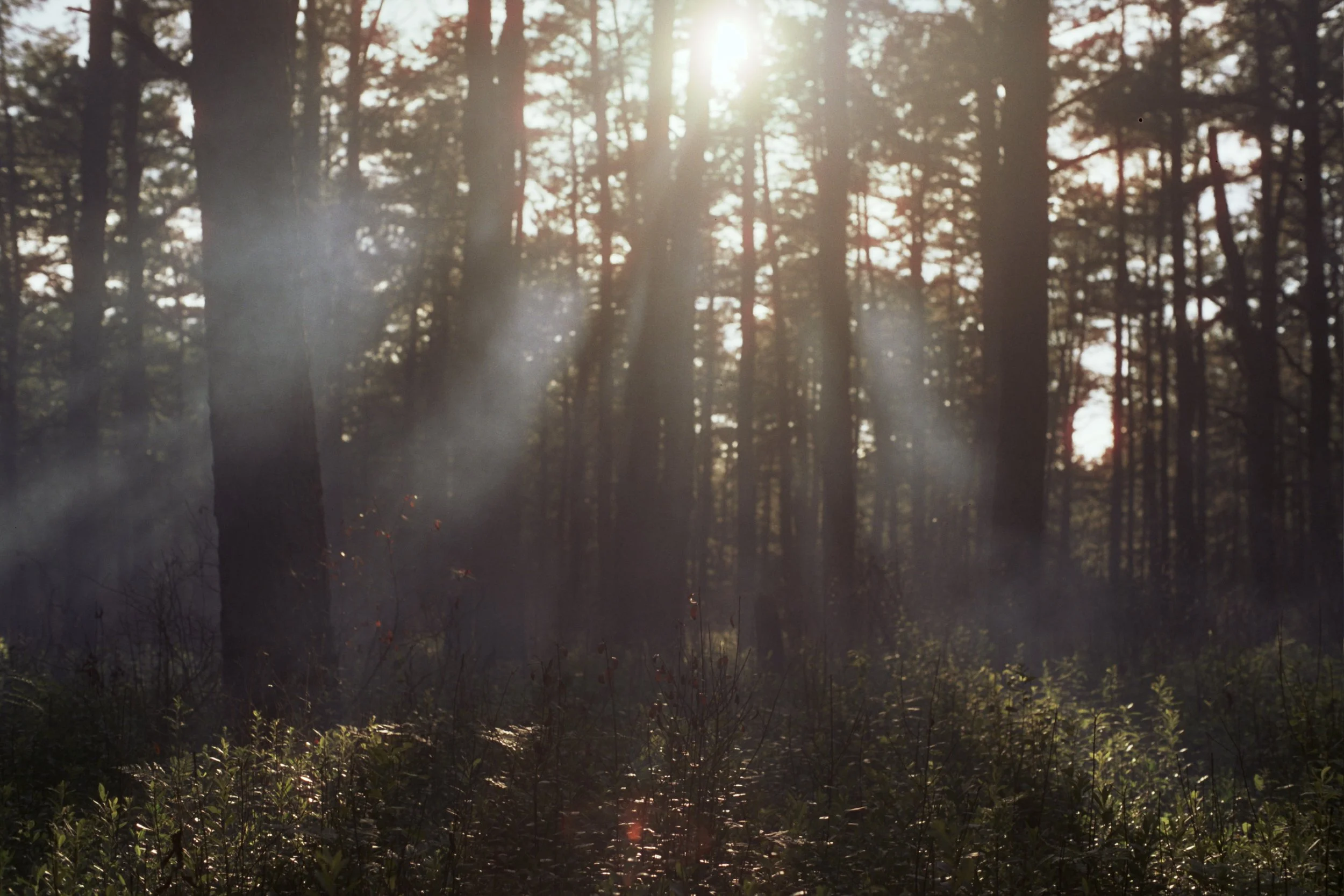 Copy of ---_1301.jpg