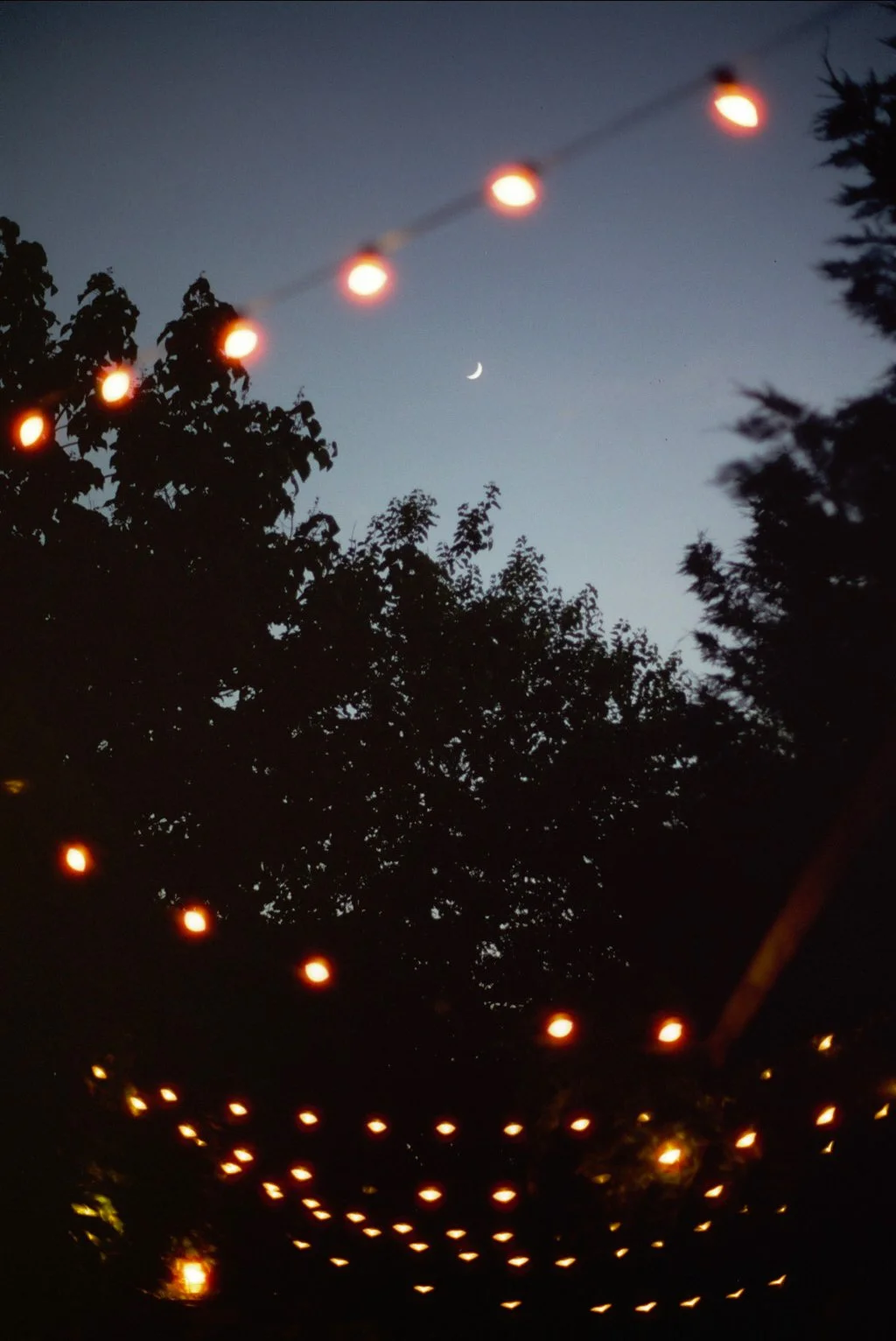 Copy of ---_1442.jpg