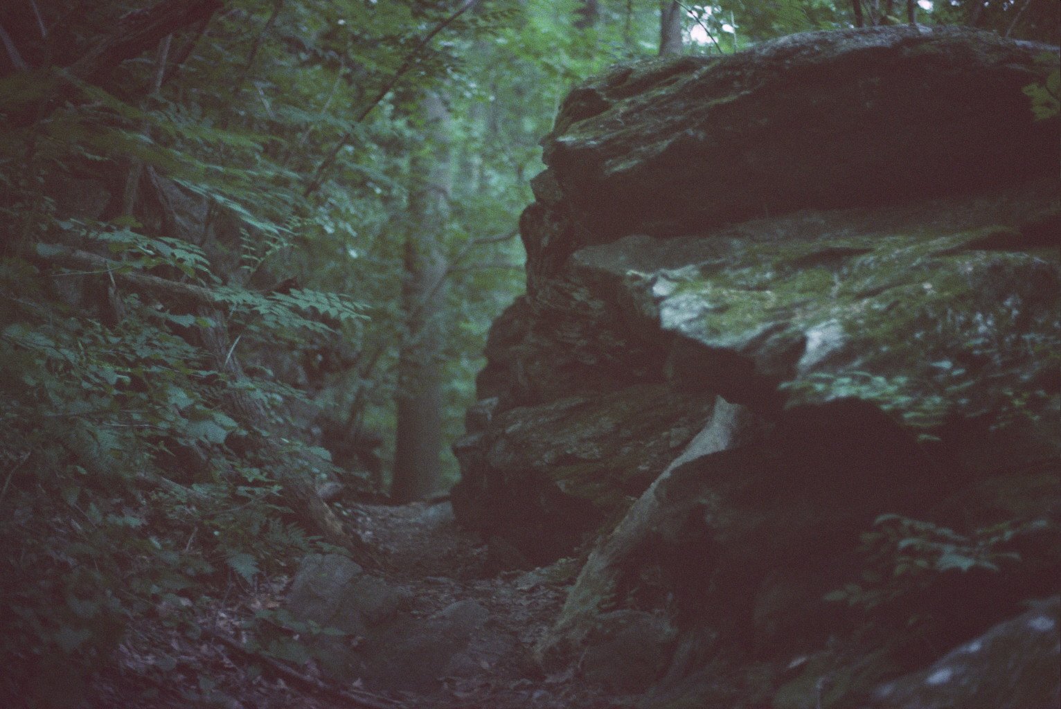 Copy of ---_1783.jpg