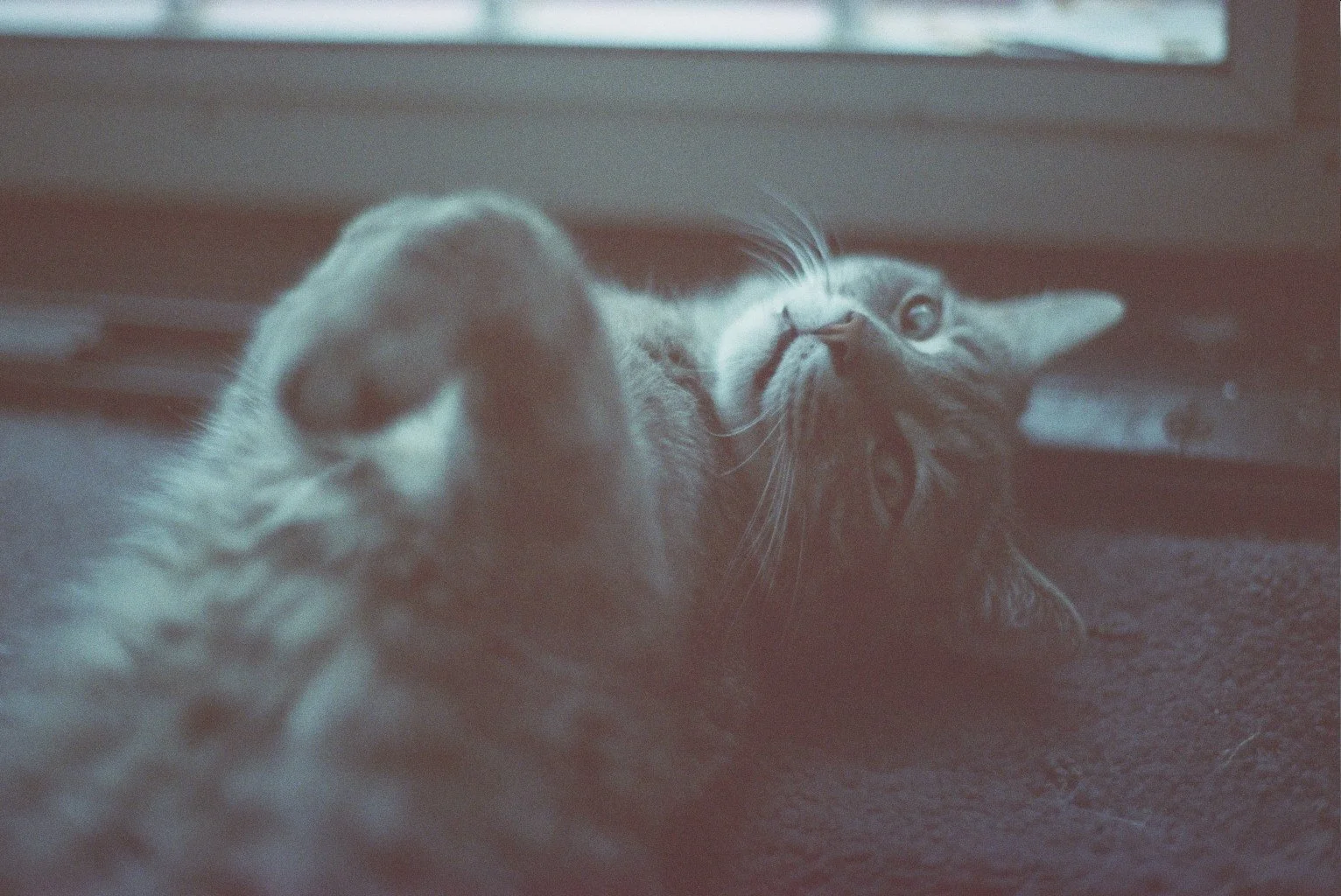 Copy of ---_1792.jpg