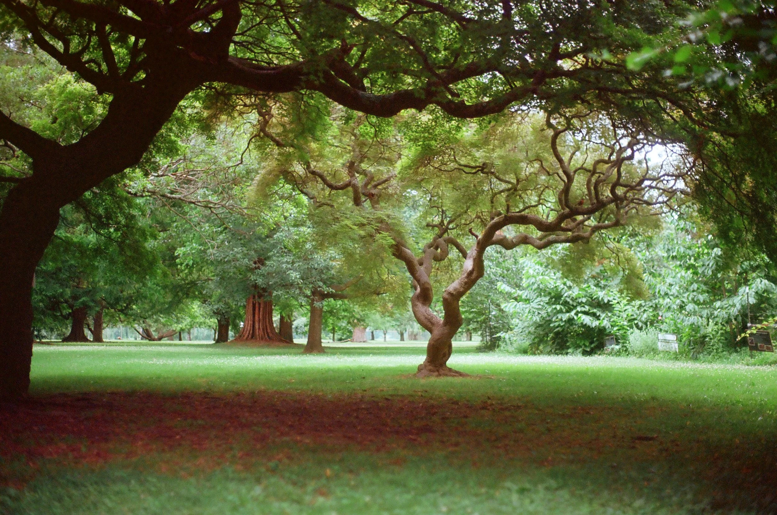 Copy of 03010011.JPG