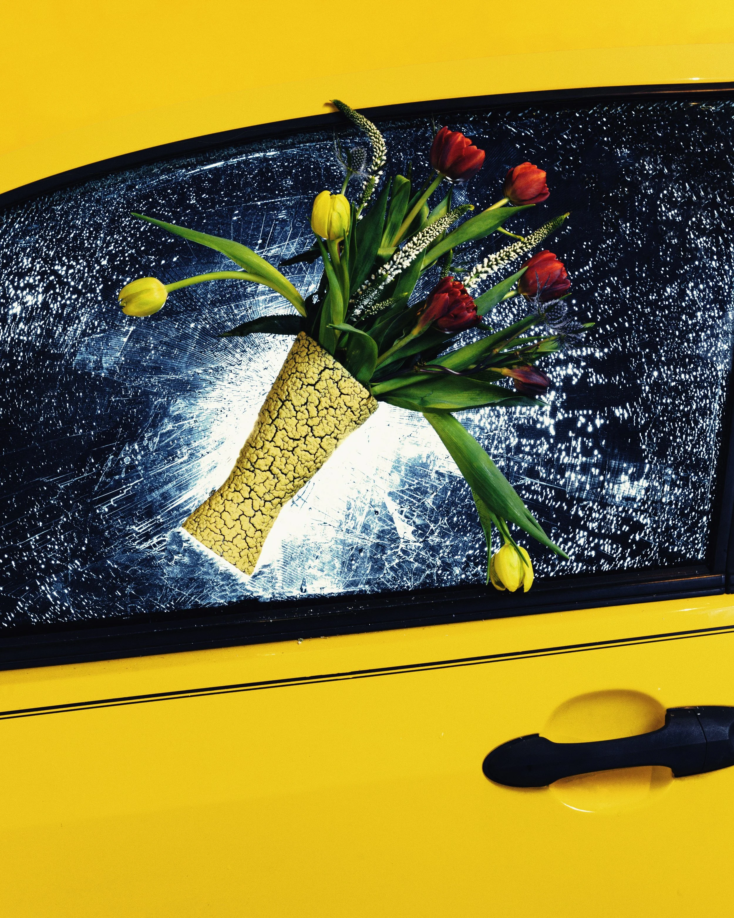Sorry About The Window Here's Some Flowers_final.jpg