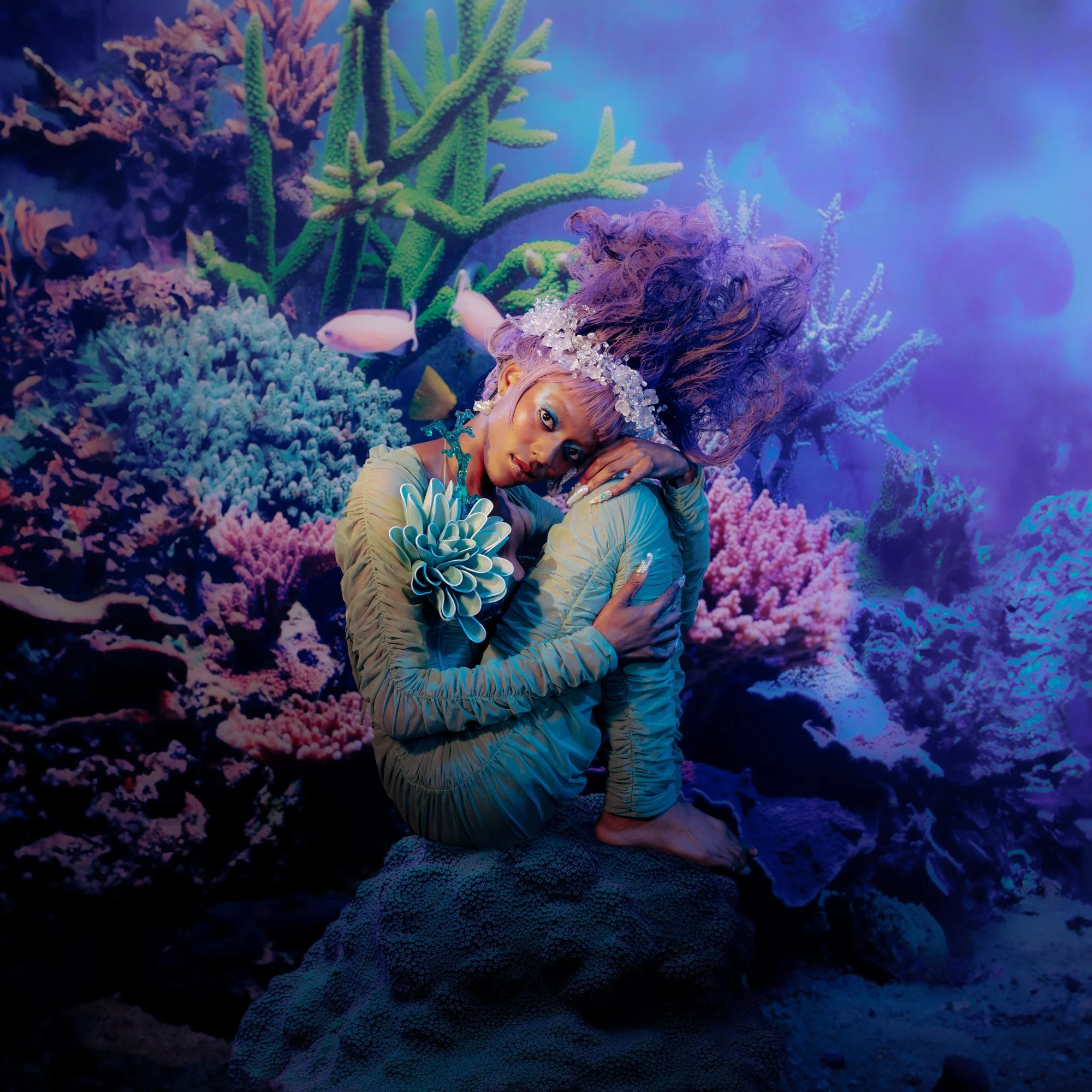 Siren_lo res-5.JPG