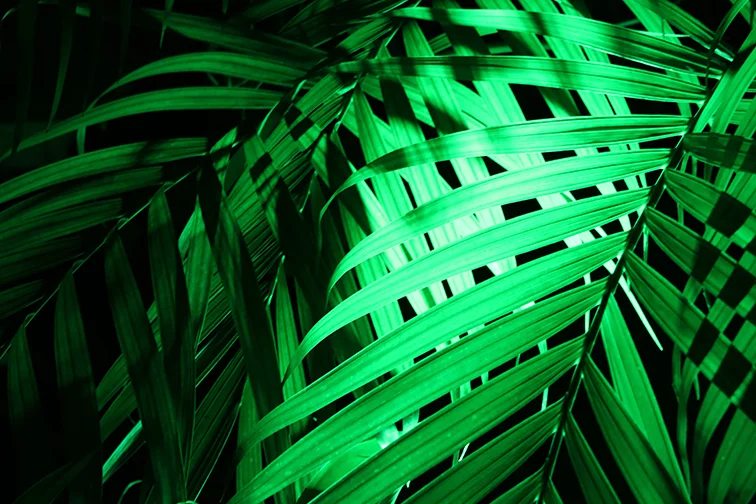 IMG_9332 edit 1 small.jpg