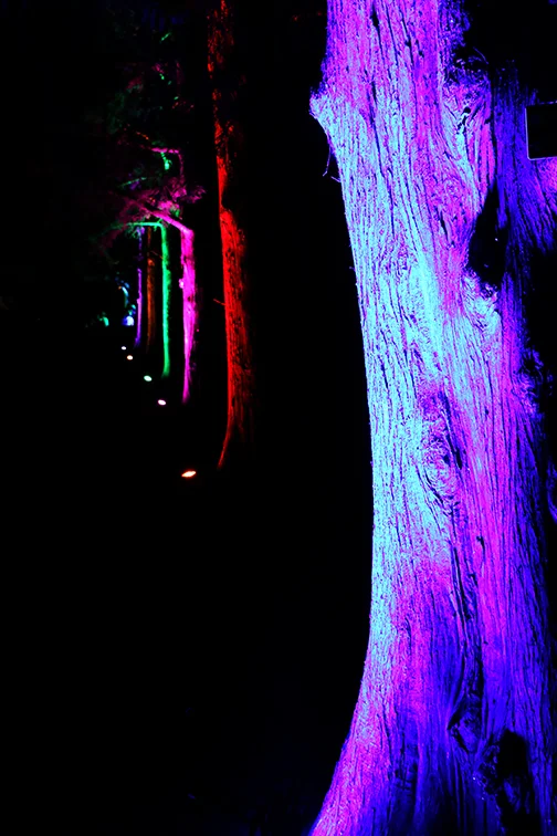 IMG_9423 edit 1 small.jpg