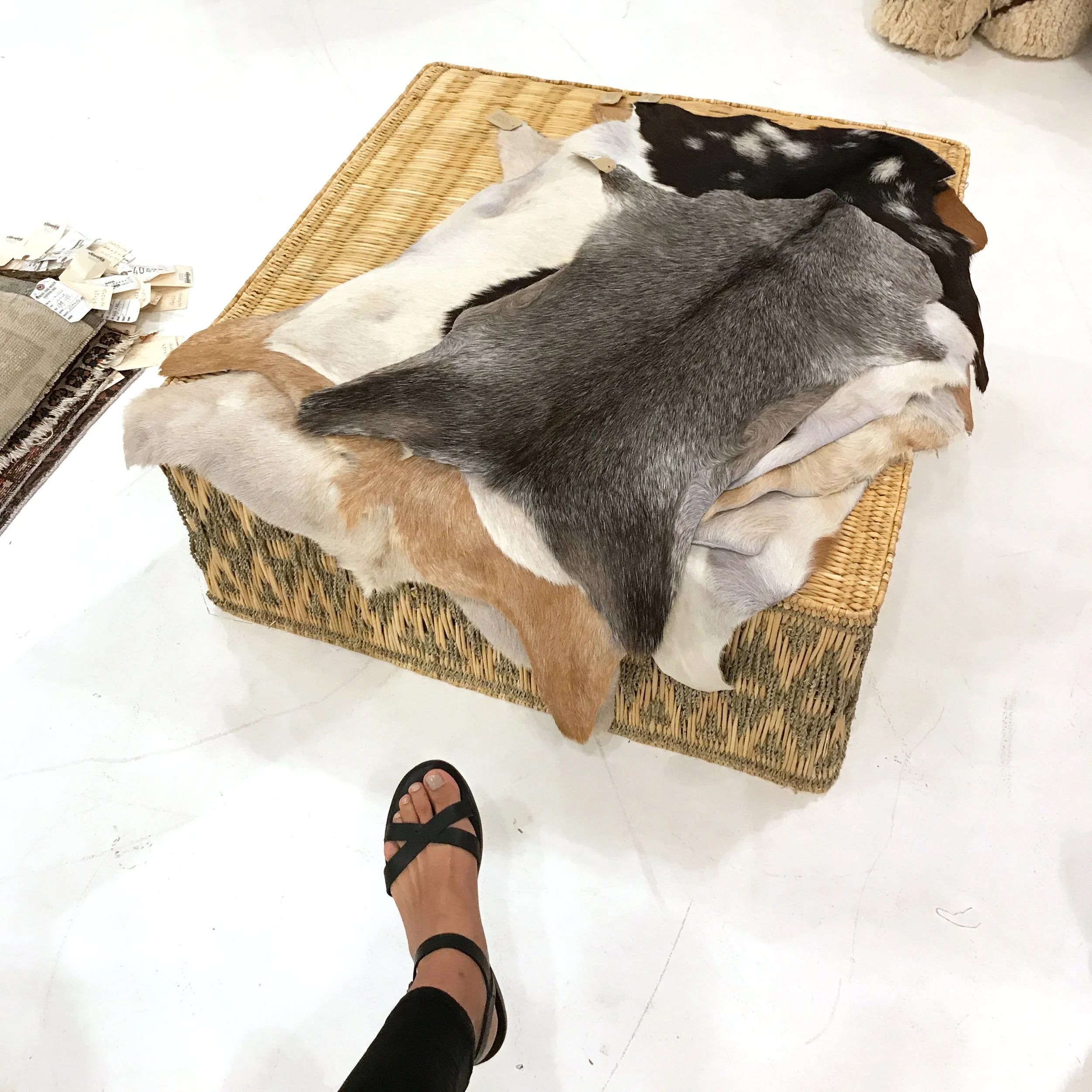 Goatskin Hides - $95 | GREAT FOR: Kids' rooms or as a runner in a narrow hallway I added my foot for size reference. These goat hides are adorably mini!