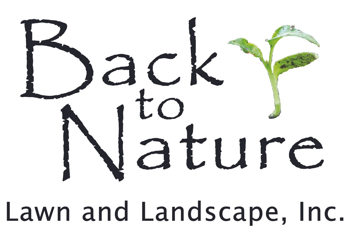 Back To Nature Lawn Landscape Inc