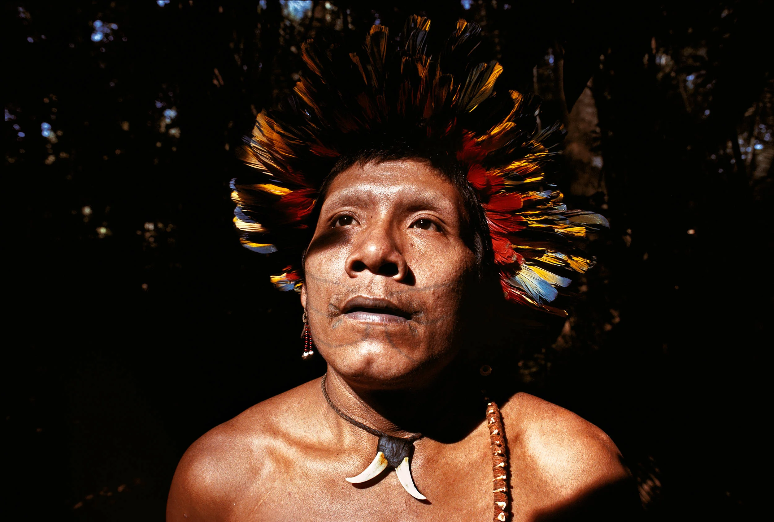 689997 78 copy.jpg