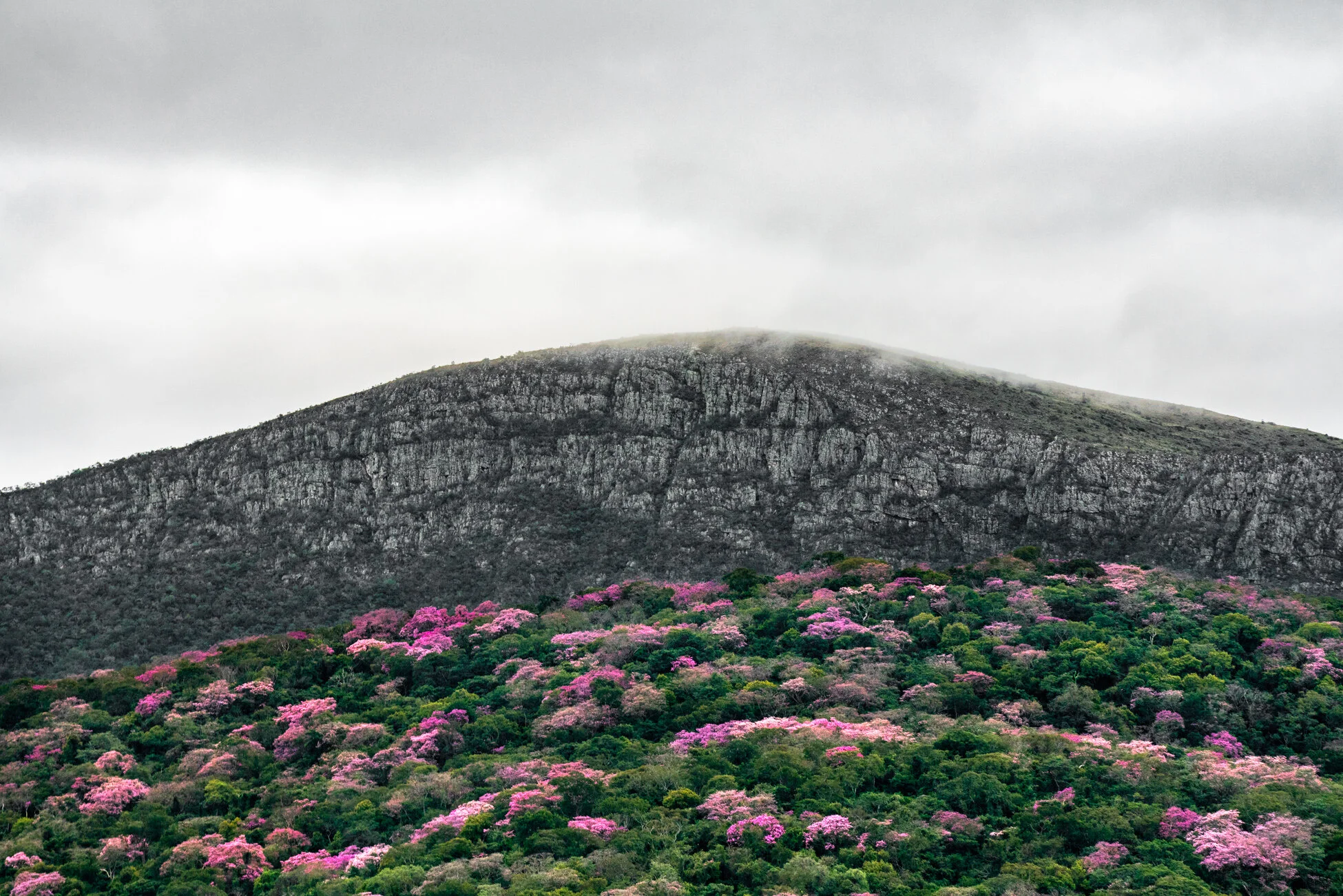 _JF39760-Editar Fujoca.JPG