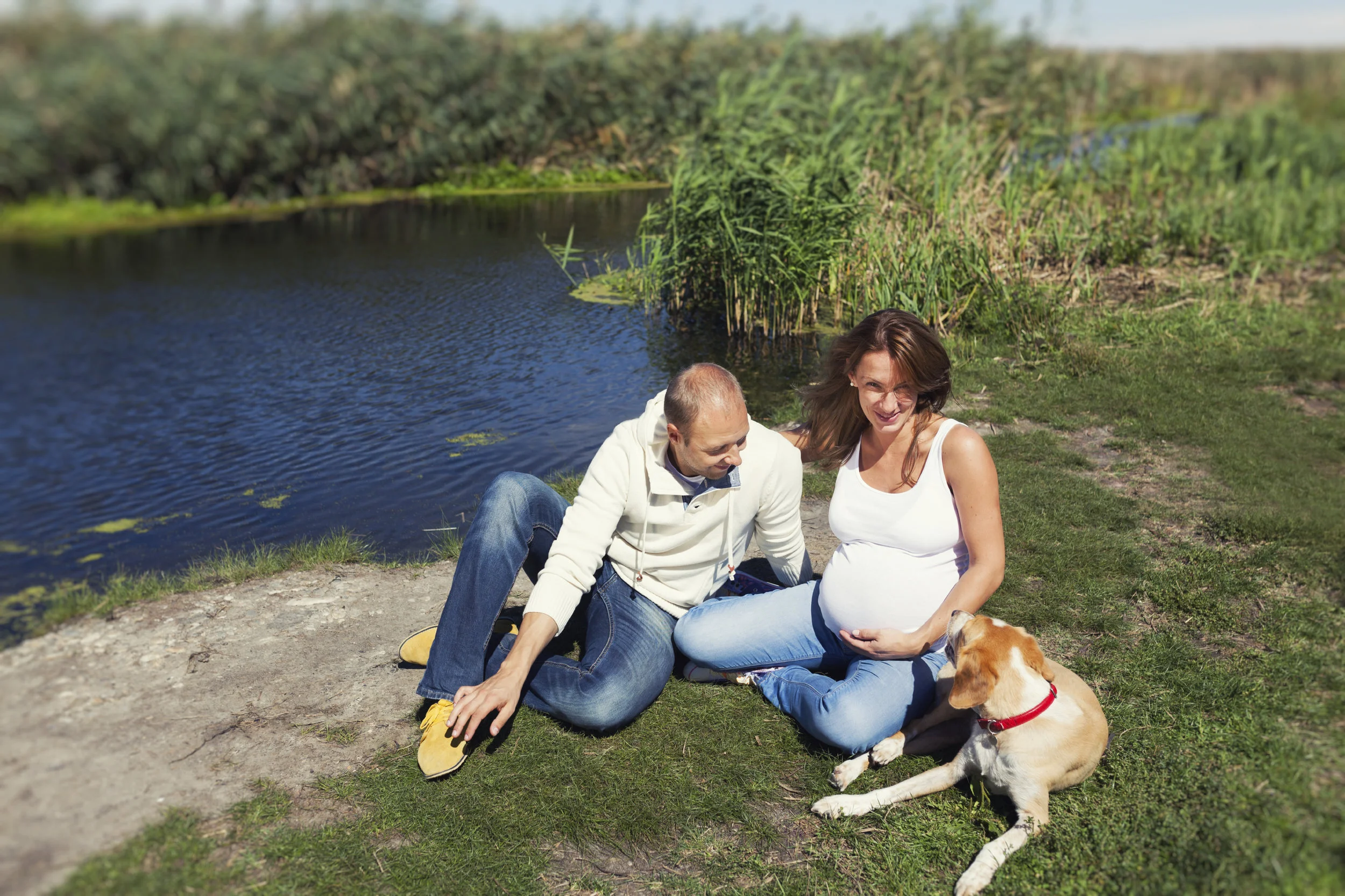 iStock_000030256992Large.jpg