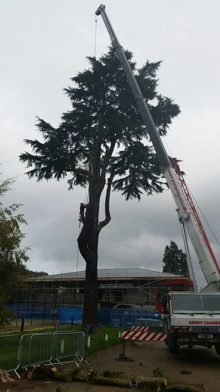 Technical crane job.