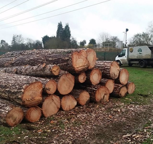Timber extraction.