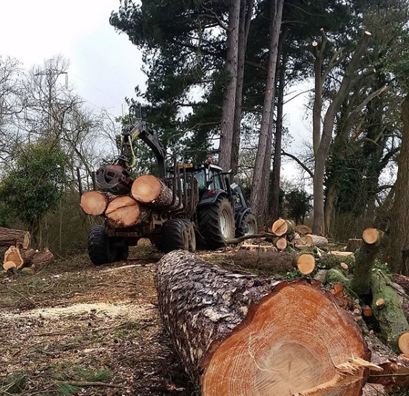 Forwader and timber trailer.