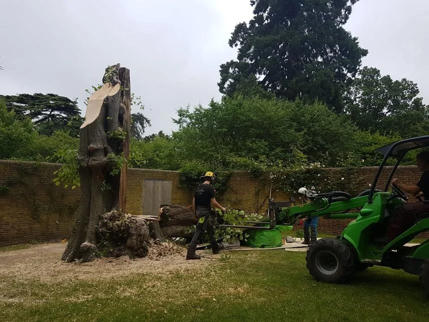 Hollow Lime removal.