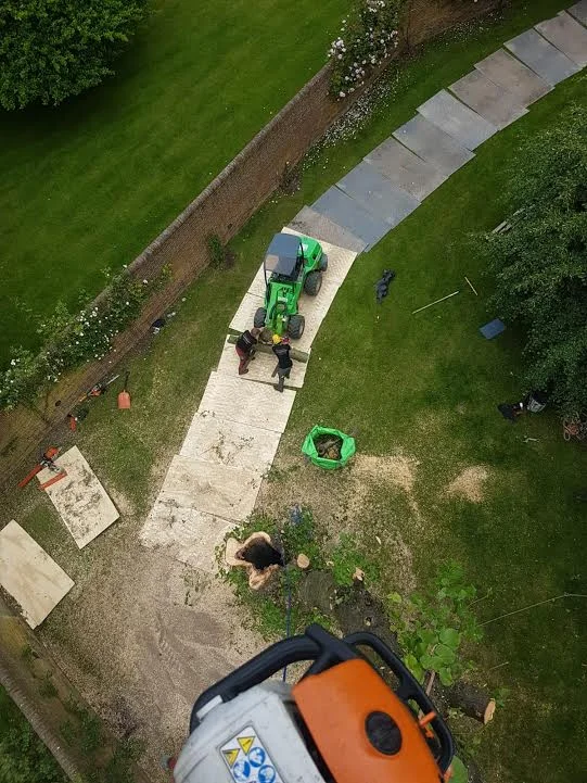 View from above.