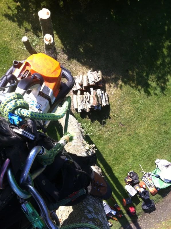 View from above.