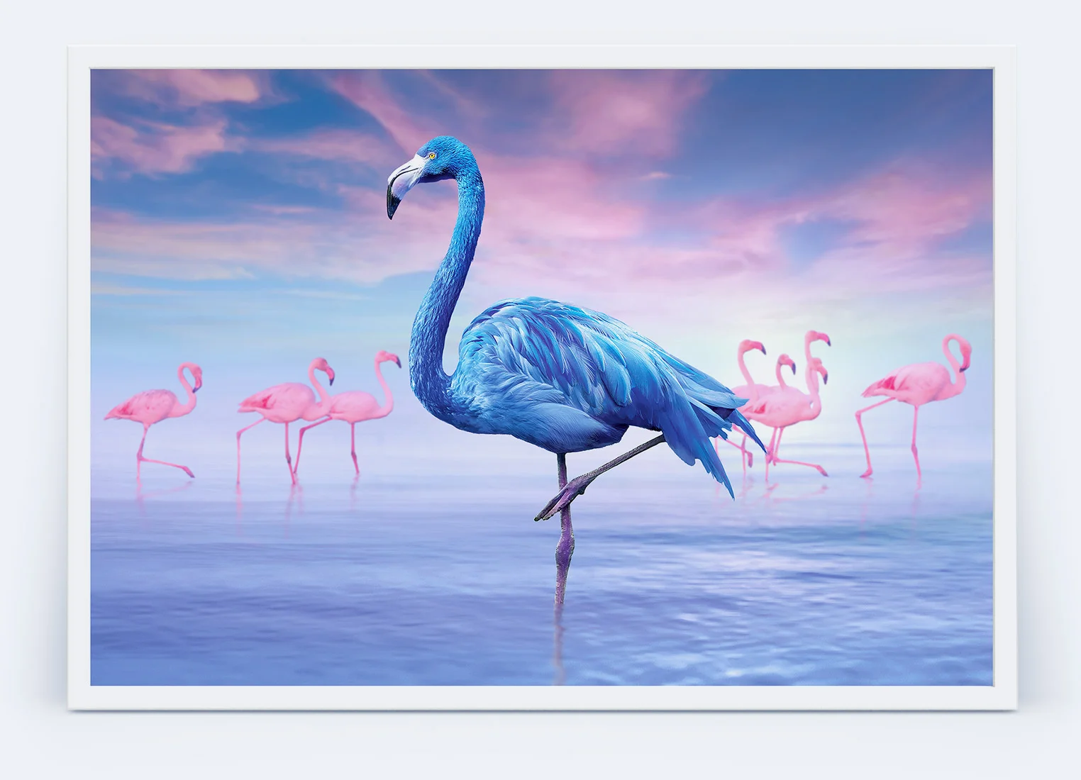 nt-flamingo.jpg