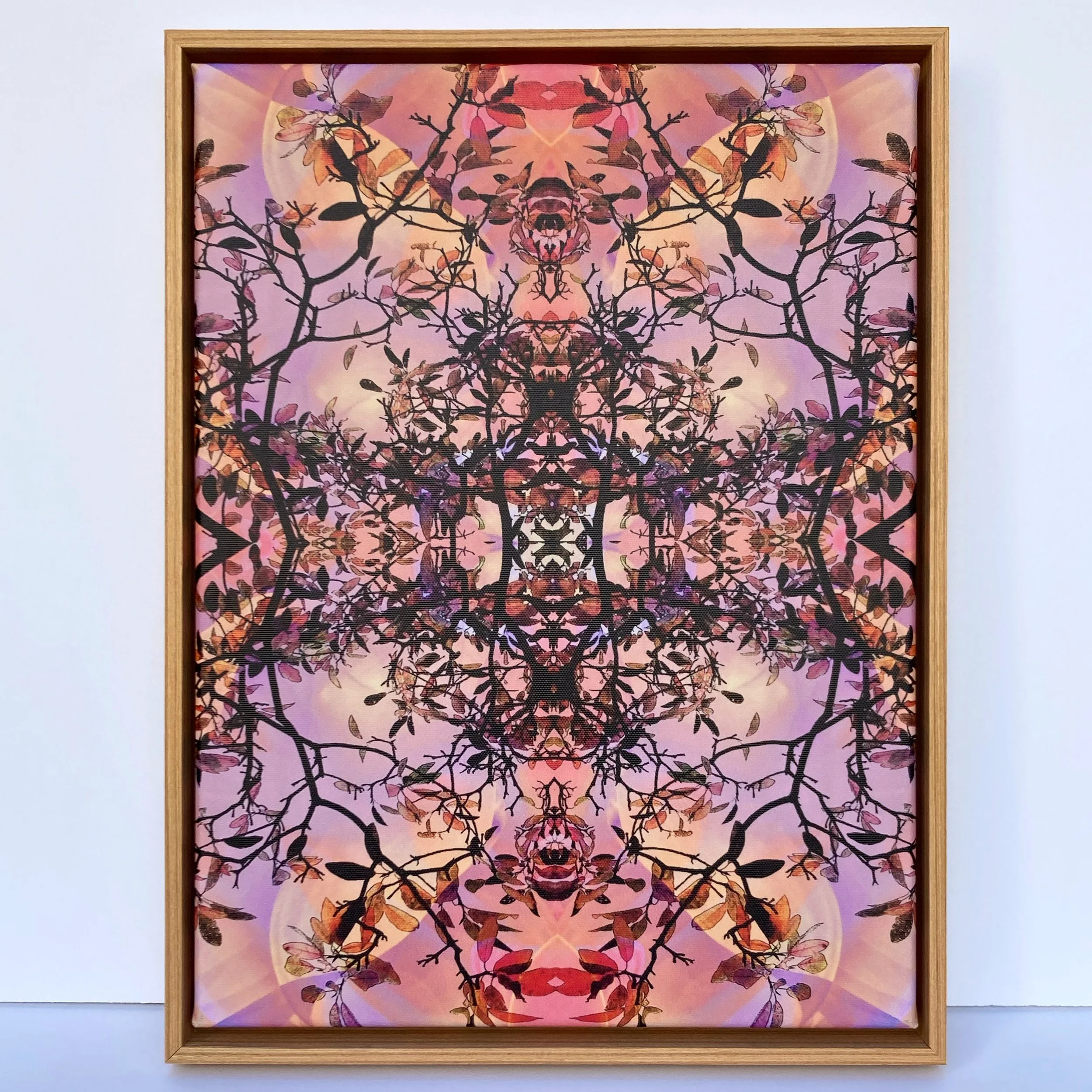 "rosy rorschach refraction" (12x16")