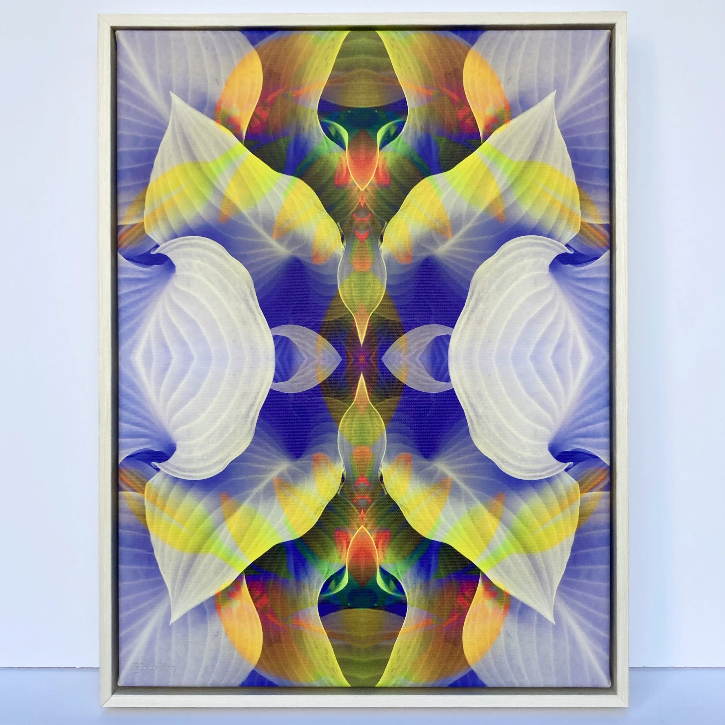 "hosta hallucination" (12x16")