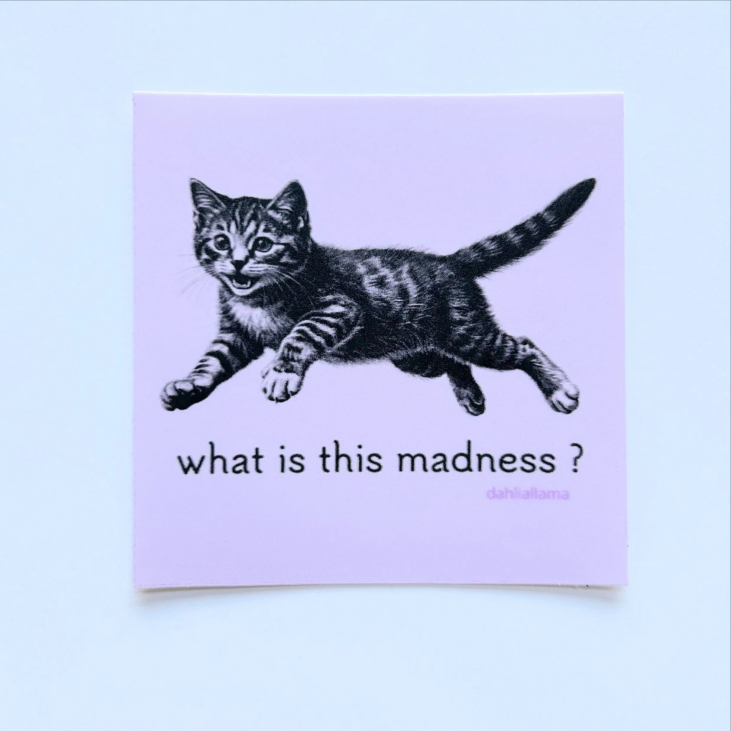 what is this madness (2.5" sticker)