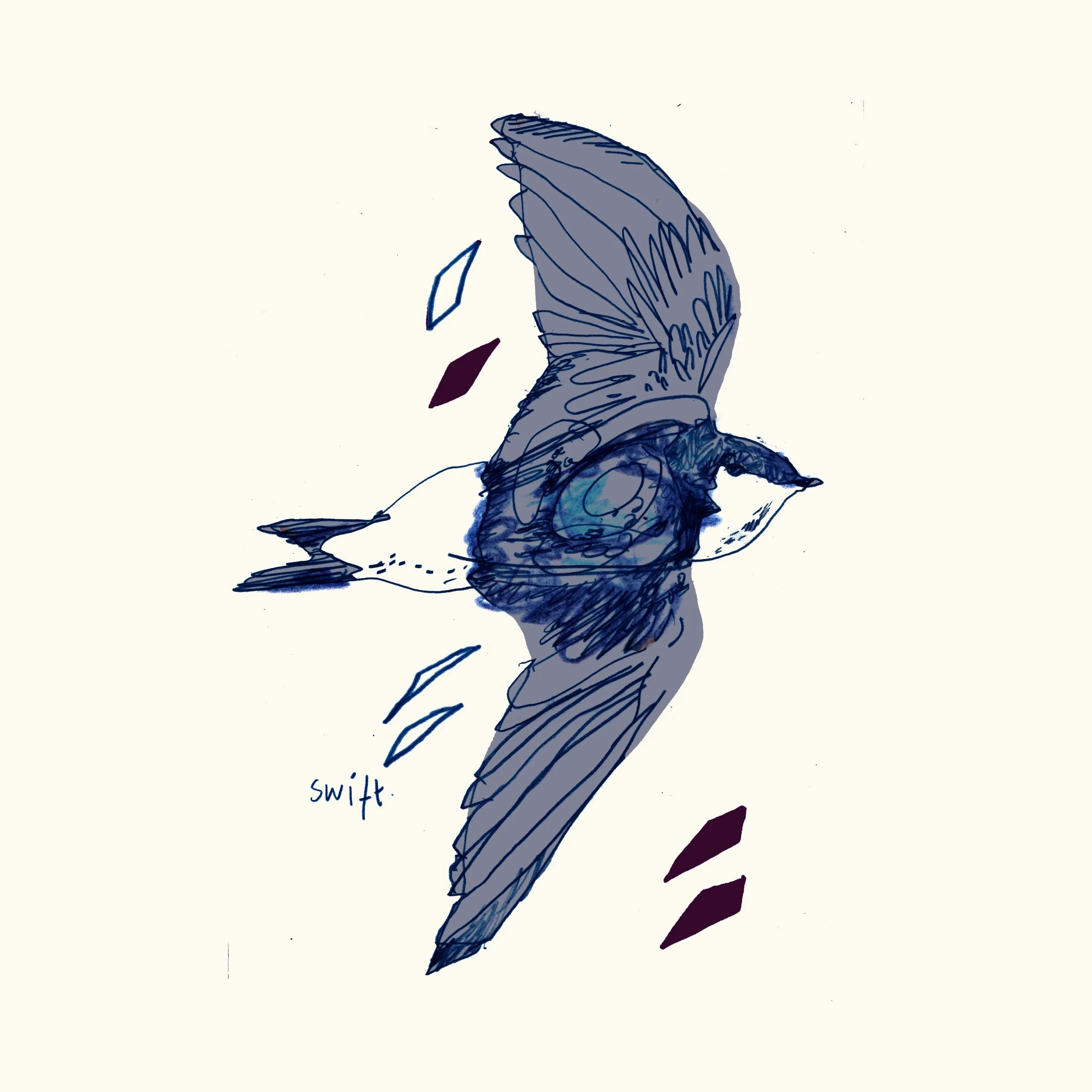 swift.jpg