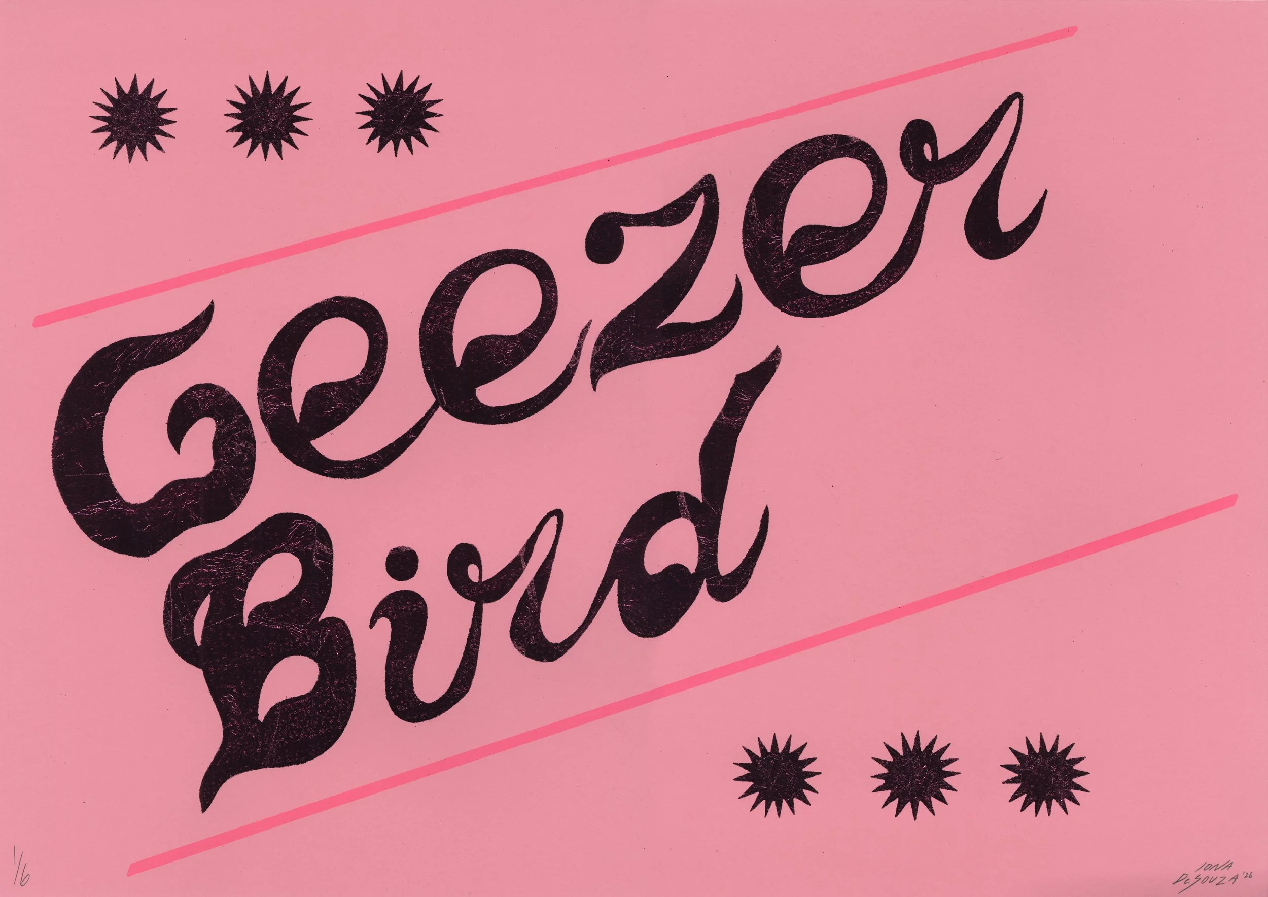 Geezer Bird_Iona DeSouza.jpg