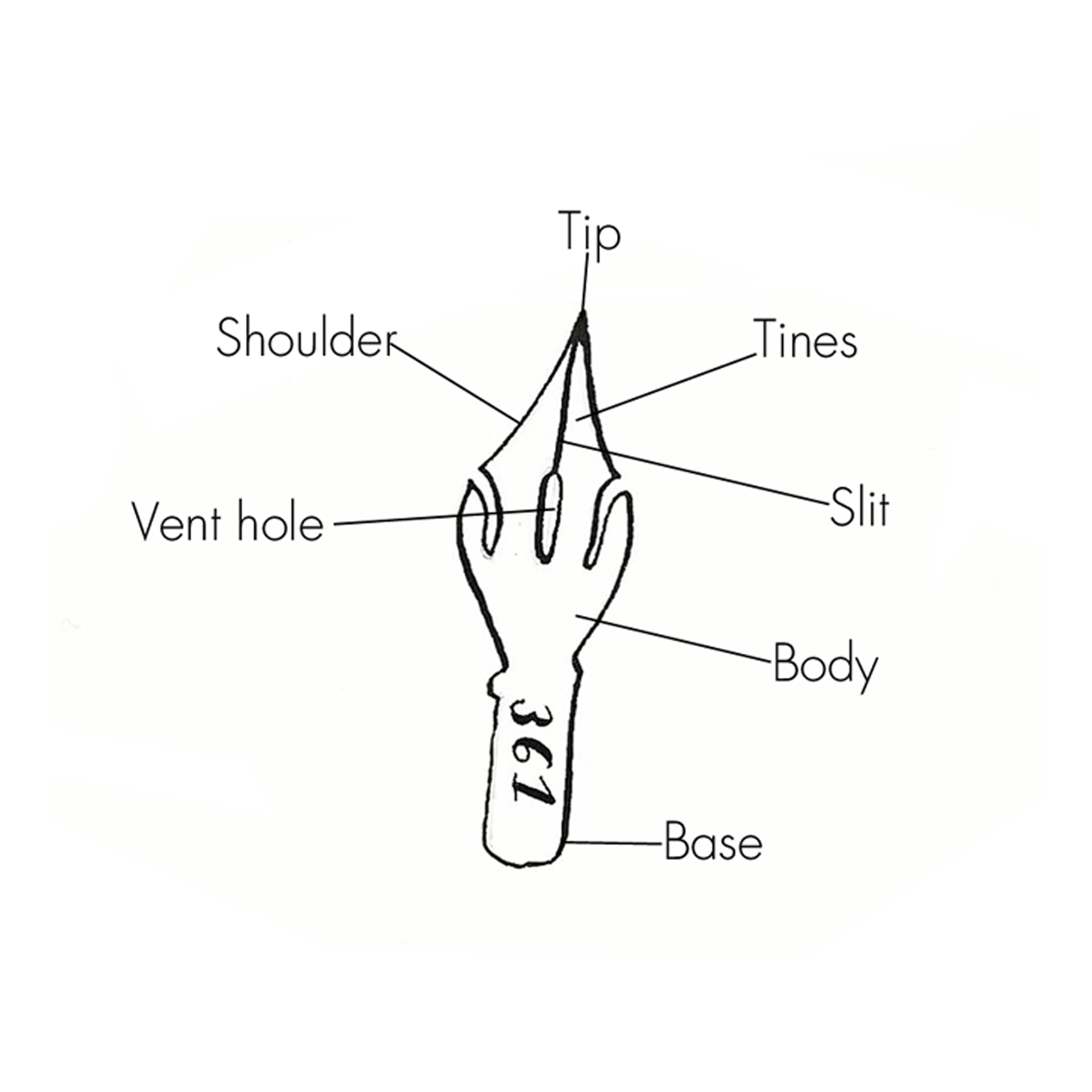 Brause nib.jpg