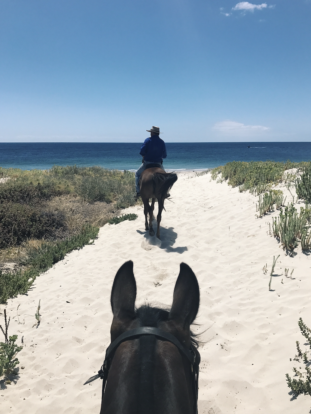 Riding at Forrest Beach with Jester's Flat Equestrian