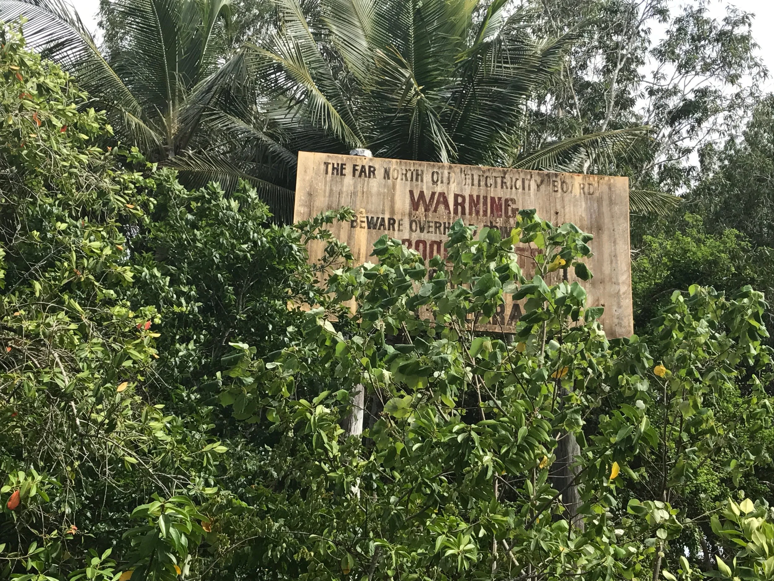 The Daintree River ferry crossing