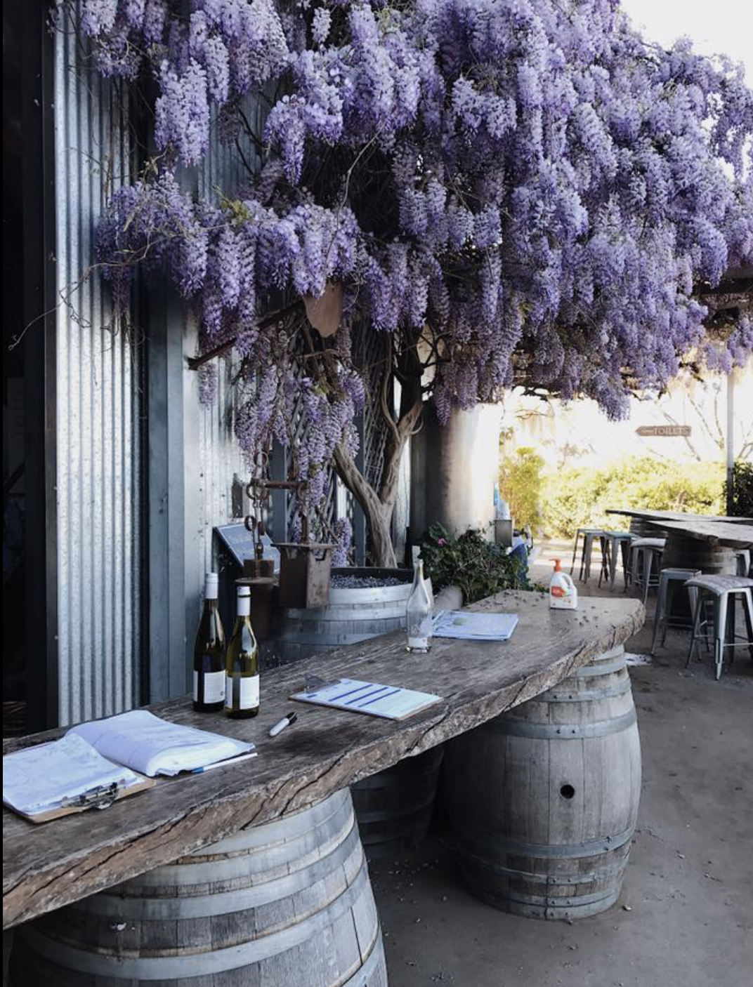 Magical Mudgee | Travel
