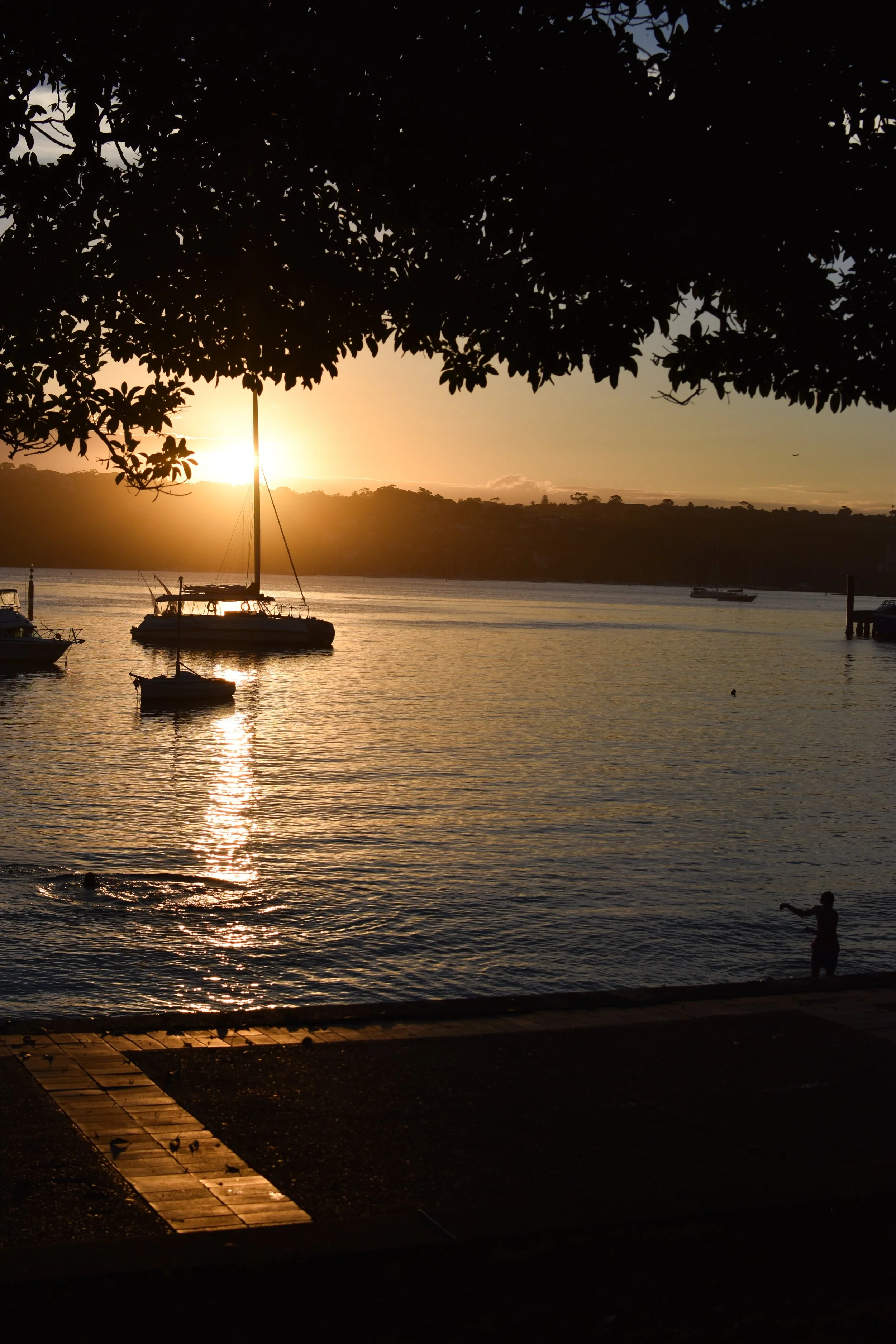 A love letter to summer