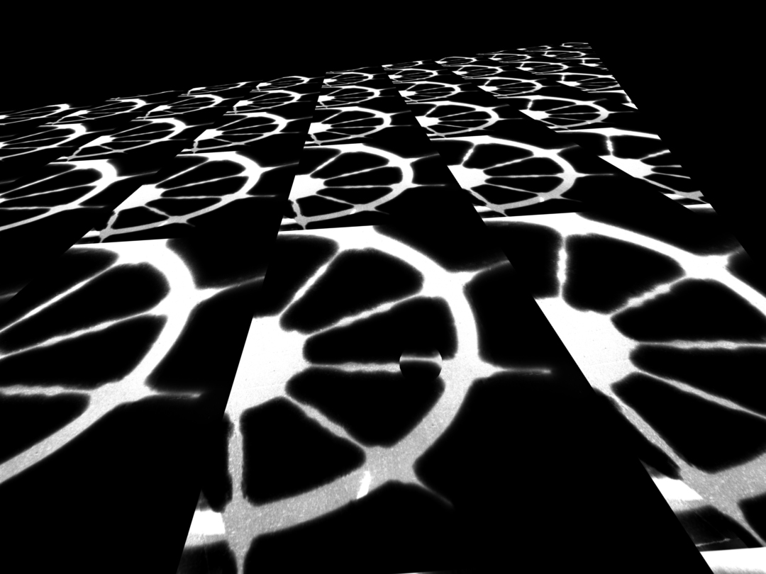 light_cam_view_equal4.jpg