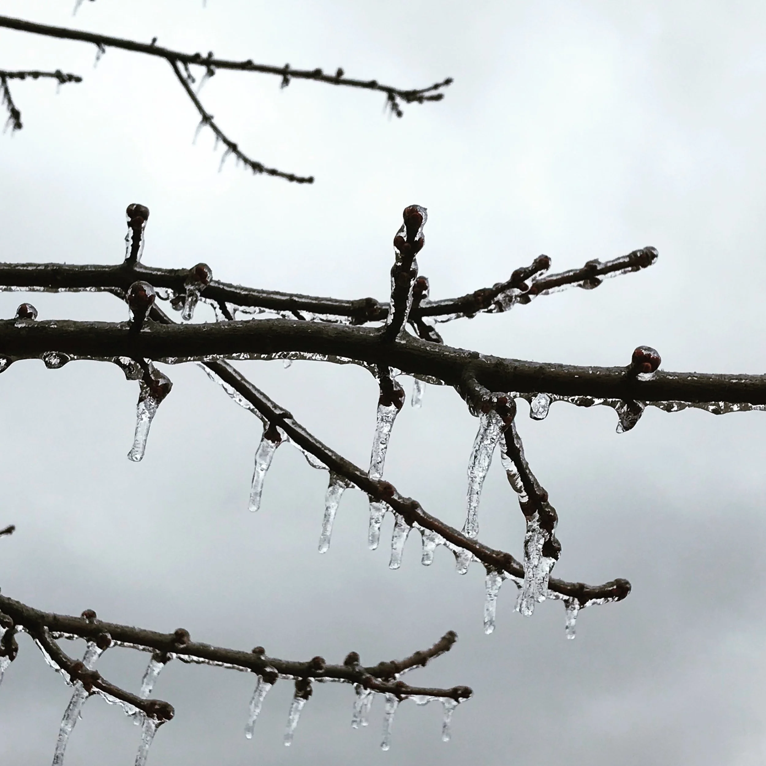 Dry Winter Skin Tips