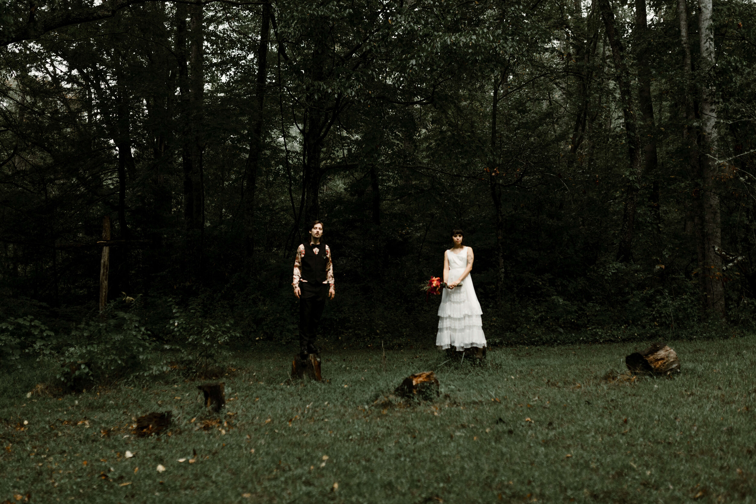 ASHEVILLE_WEDDING_TESS_AND_RYANDSC_5300.jpg