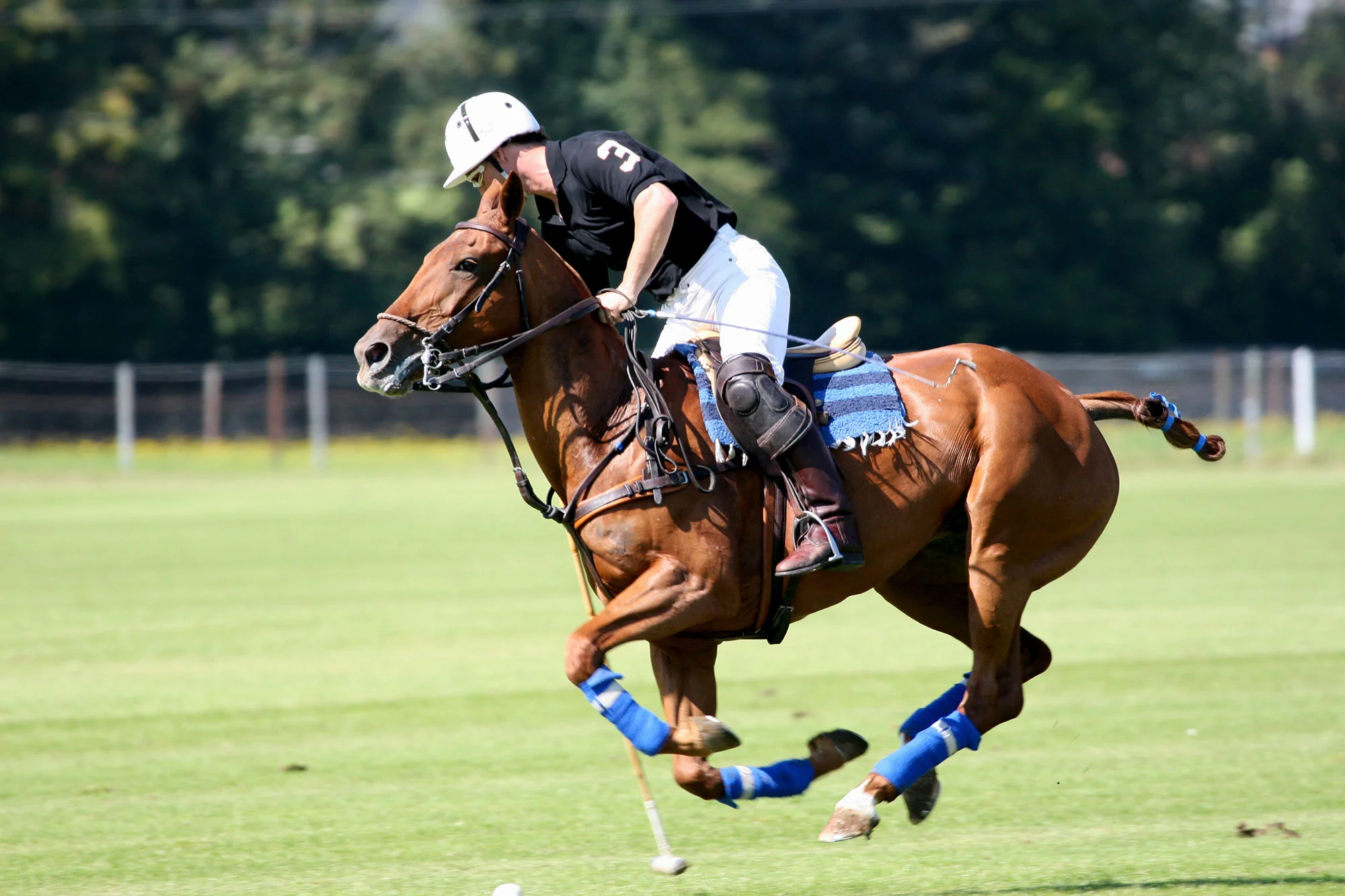 american-rv-motorhome-hire-equestrian-polo-events.jpg