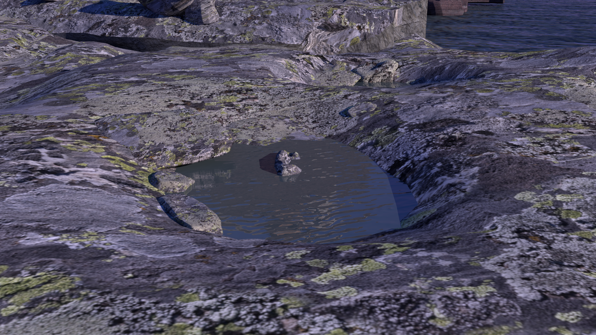 Lichen Rocks 3.png