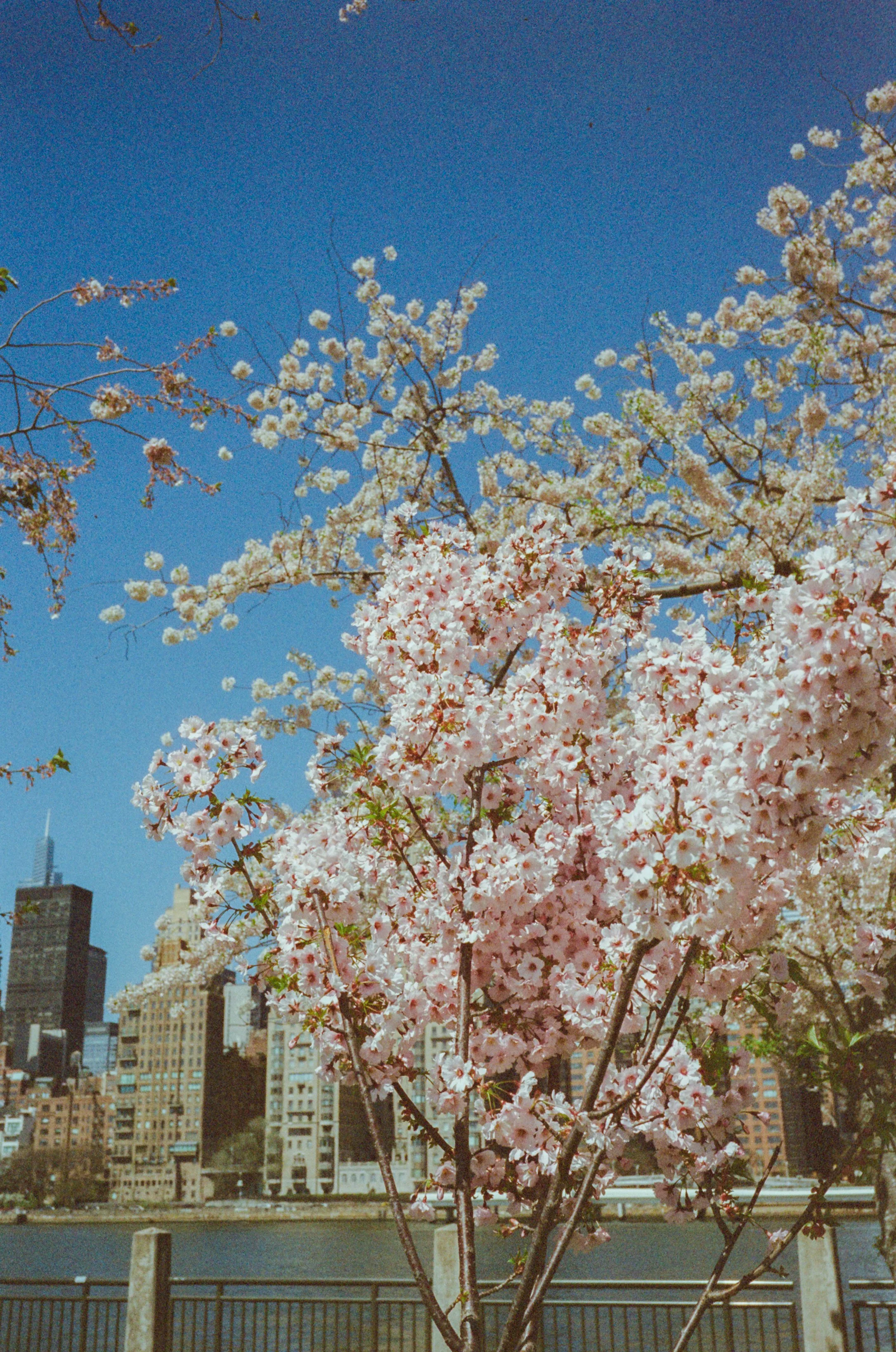 82532_MUC_002_10.jpg