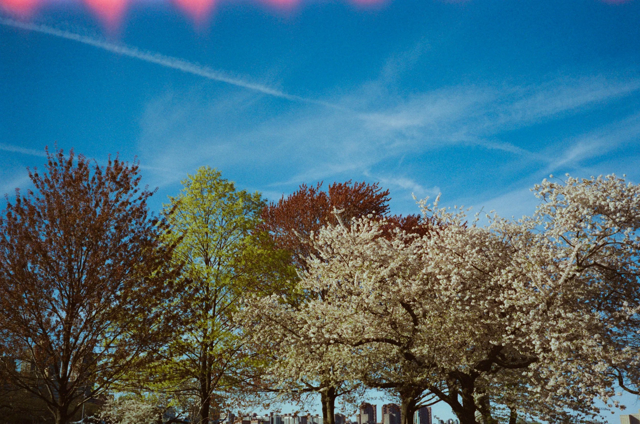 82532_MUC_003_13.jpg