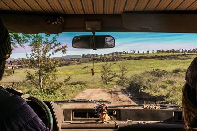 Moment captured by @danicatayl0r rolling mustard hills of Mexico