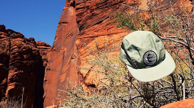 @chillergoods with the chillest goods. Website live at chillergoods.com #chillergoods