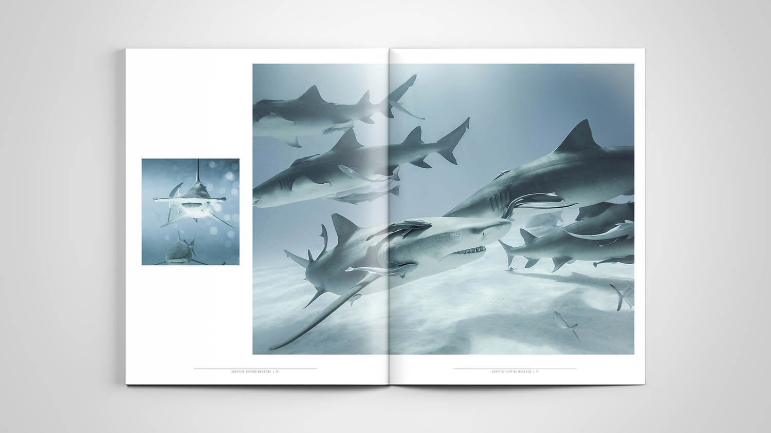 Letter-Magazine-Mockup_2.png