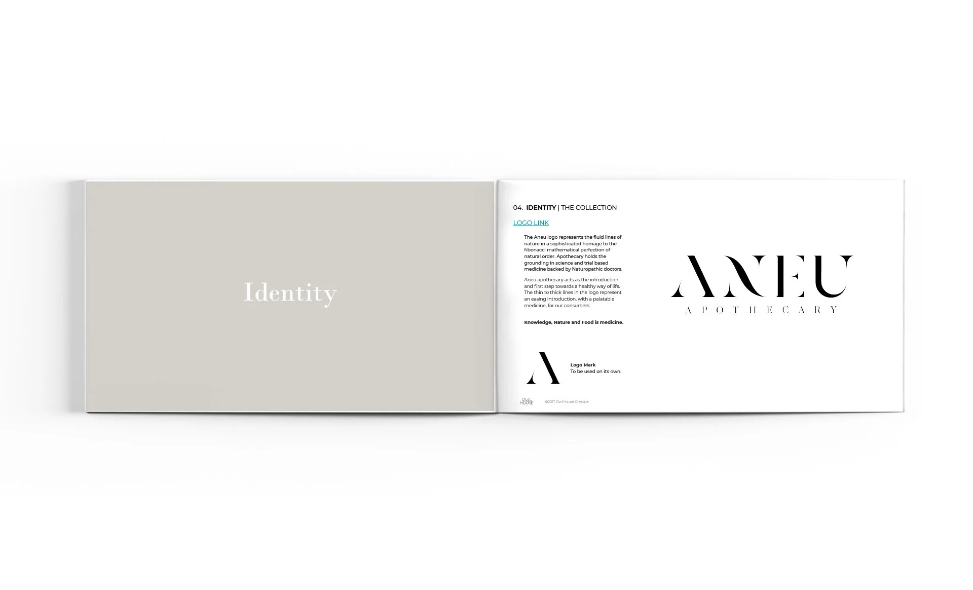aneu-style-guide3.jpg