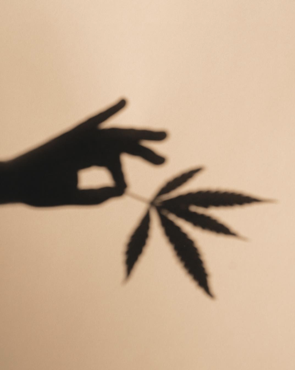 Screen Shot 2020-08-01 at 2.36.13 PM.png