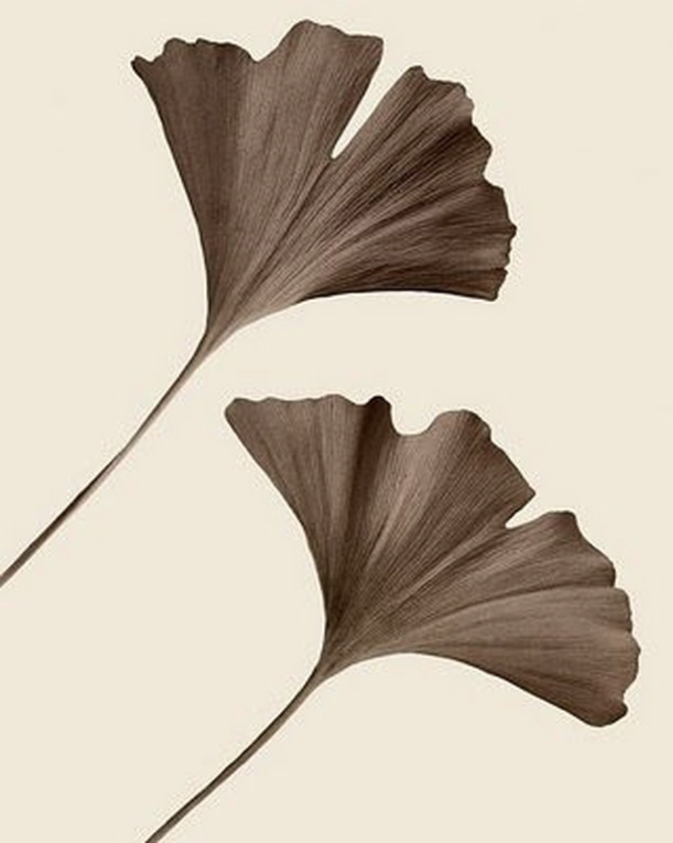 Screen Shot 2020-08-01 at 2.35.06 PM.png