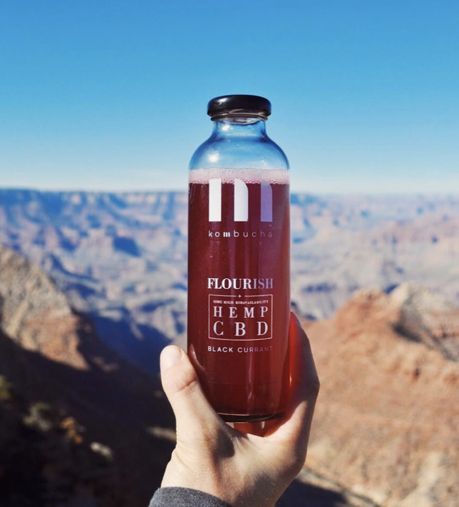 Screen Shot 2020-08-01 at 4.48.13 PM.png